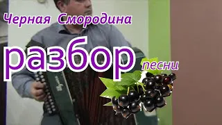 Черная смородина // разбор на гармони