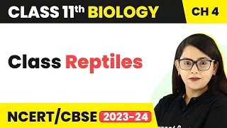 Class Reptiles - Animal Kingdom | Class 11 Biology