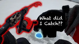 I FINALLY Caught ONE!! || Walled Lake Ice Fishing