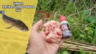 Update Racikan Terbaru Buat Sang Gabus Malas Makan