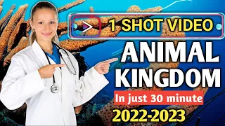 Animal Kingdom Full Chapter TRICKS🔥🔥Easiest Tricks Neet 2022 & Neet 2023 Biology Ncert