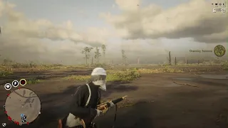 RDO - Practicing carcano rapid fire