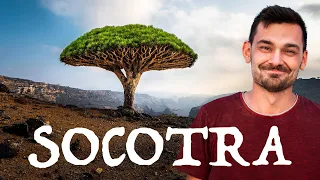 Socotra - Fotografische Expedition in eine fremde Welt | Doku - Nick Schmid | 4K