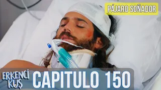 Pájaro soñador - Capitulo 150 (Audio Español) | Erkenci Kuş