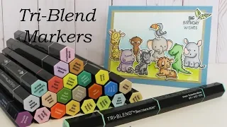 Spectrum Noir Tri-Blend Marker Review & Coloring Tutorial