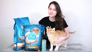 Purina ONE Cat Food Review (We Tried It)
