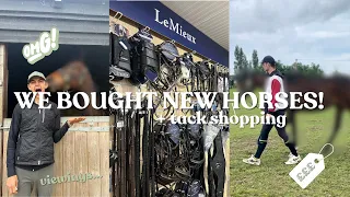 BUYING OUR NEW HORSES & TACK SHOPPING TRIP!