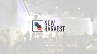 New Harvest 2019 - Day Two
