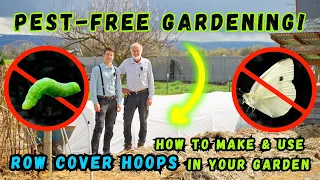 Keep Bugs Off Your Broccoli & Cauliflower! Simple & Effective Garden Row Covers + Hoops Tutorial