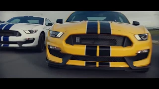 Tribute to Ford Mustang | Music Video