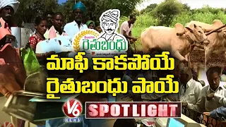 Bankers Holds Rythu Bandhu Amount Into Farmers Account | Spotlight | V6 News