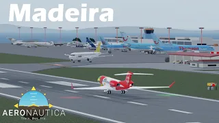 Madeira (Amaras) plane spotting - Aeronautica
