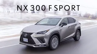 2019 Lexus NX300 F Sport Review - Luxurious Enough?