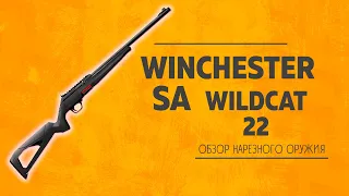 Winchester WildCat SA 22 LR