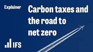 Carbon taxes and the road to net-zero