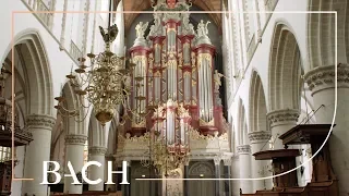 Bach - Fugue in G major BWV 957 - Jacobs | Netherlands Bach Society