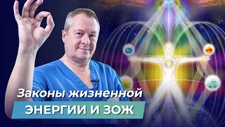 Что включает в себя ЗОЖ?  Как усилить и жизненную энергию человека и чувствовать себя здоровым?