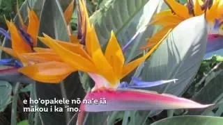 The Lord's Prayer in Hawaiian