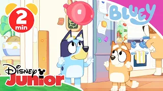 🎈 Bluey - Clip: Flieg Luftballon! | Disney Junior