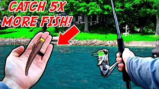 You'll NEVER Fish a Ned Rig the Same After Watching This!