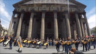 VIOLIN HUAPANGO FLASHMOB