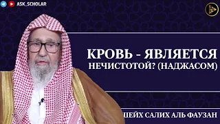 Кровь - наджас или нет?| Шейх Салих аль Фаузан