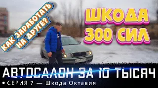 Шкода 300 сил за 80 тыс руб! Как заработать на друге?