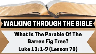 What Is the Parable of the Barren Fig Tree? [Luke 13:1-9][Lesson 70][WTTB]