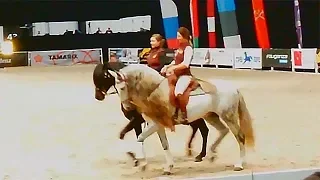 Андалузы - великолепные лошади. Иппосфера Санкт-Петербург. Andalus horses