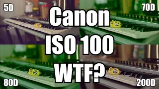 ISO это НЕ fake! По крайней мере в Canon. Тесты 5D, 70D, 80D и 200D!