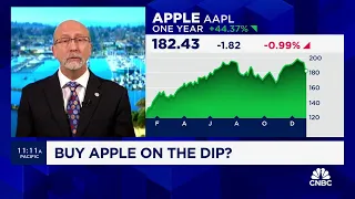 Keith Fitz-Gerald on Apple: It's a 'golden opportunity' to buy the stock
