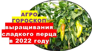 Agrohoroscope for cultivating sweet peppers in 2022