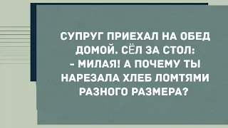 Супруг приехал на обед домой. Смех! Юмор! Позитив!