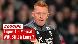 Ligue 1 - Lens fonce sur Will Still pour succéder à Franck Haise