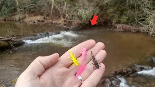 THIS NATURAL DAM WAS LOADED WITH FISH || Most Scenic Fishery I've Ever Seen!