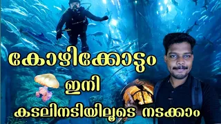 Underwater aquarium Kozhikode #kerala  #malayalam  #youtube #kozhikode #aquarium #fishing