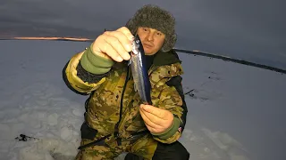 ЛОВЛЯ КОРЮШКИ В ПОЛЯРНУЮ НОЧЬ / FISHING smelt on a polar night