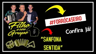 "Sanfona Sentida" (Dominguinhos) | Filho e Seu Grupo #ForróCaseiro