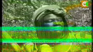 Life and Times of Wangari Maathai