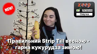 Ефективний Strip-Till весною, можливо? | Про налаштування, глибину смуг та терміни проведення