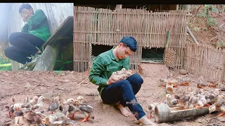 FULL VIDEO: 45 days How to make bamboo houses for chickens _Animal husbandry __Survival camping