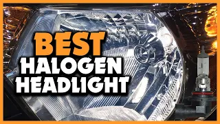 ✅Top 5 Best Halogen Headlight Bulbs of 2023