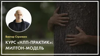 Курс «НЛП-Практик»: Милтон-модель. Виктор Стрелкин