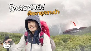 เดินป่าคนเดียวครั้งแรกแต่ติดพายุกลางป่า! | ญี่ปุ่น  Japan Alps