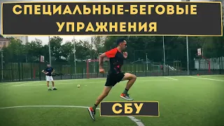 Специальные беговые упражнения и техника бега / СБУ для бега