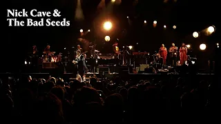 Nick Cave & The Bad Seeds - Bright Horses / Live in Istanbul 2022