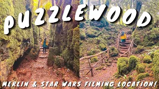 Magical Puzzlewood - Merlin & Star Wars Filming Location in the Forest of Dean!