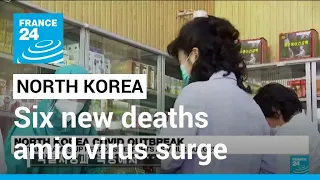 North Korea faces health crisis amid virus surge • FRANCE 24 English