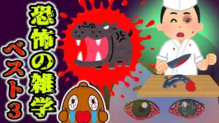 【怖い雑学】 ありえない事故・怖い動物ランキング！？ ねば～る君のしりたいおしえたい 豆知識  【恐怖の雑学】