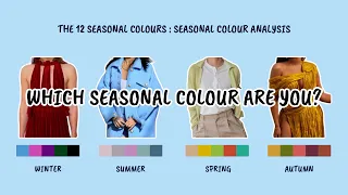Finding Your Seasonal Colour | which colours suit you best? (Seasonal Colour Analysis)